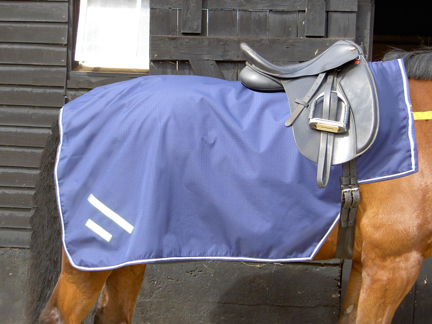 Gee Tac Fleece Lined Horse Exercise Sheet