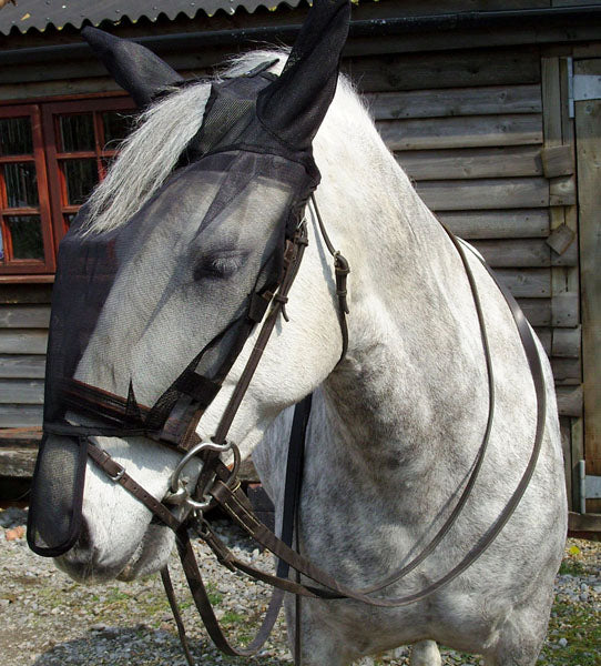 Horse Fly Riding Mask Full Face Ears Nose