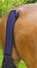 Gee Tac Tail Guard Padded Elasticated